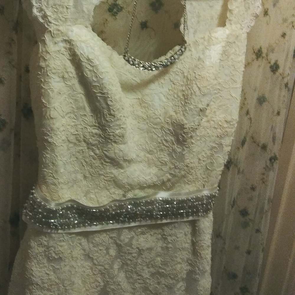 David's Bridal wedding dress